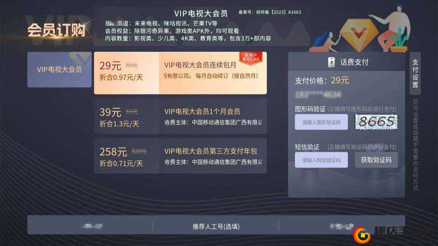 全民天团会员费用标准与性价比综合解析